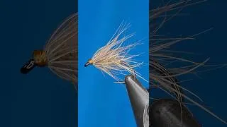 Thumbnail: Royal Purple Guinea Soft Hackle
