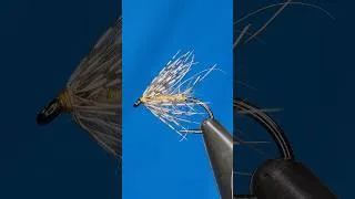 Thumbnail: Soft Hackle Wet Fly
