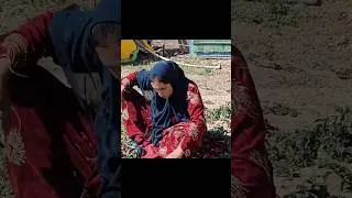 Thumbnail: false representation Blossom, one who is not the true wife of Jesus. #hard_life#family
