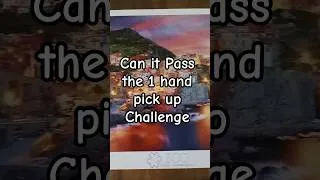 Thumbnail: 1 Hand Pick up Challenge #buffalo #jigsawpuzzle #pleasesubscribe @Tiffany_Garrison