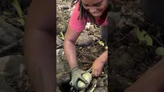 Thumbnail: Would you stick your hand in a crab hole??This was an epic day!!!!😌 #travel #adventure