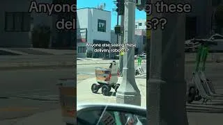 Thumbnail: Have You Seen These Delivery Robots?