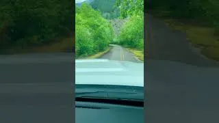 Thumbnail: Abandoned old hwy 3 in Hope, BC as it was buried by one of the largest Canadian landslides. #shorts
