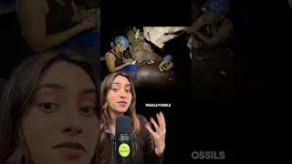 Thumbnail: Researchers Discover All the Skeletons in the Rising Star Cave System are Female