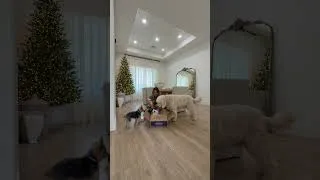 Thumbnail: Pets Love Gifts Too! Pet Christmas Haul + Gift Guide