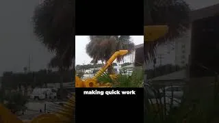 Thumbnail: Imagine Having This Beast in Your Garden! 🔥 Watch It Devour Branches Instantly! #shorts #woodchipper