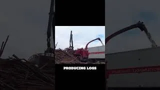 Thumbnail: Amazing Fastest Wood Chipper Machines #woodchipper #wood #heavymachinery #short #timbertime