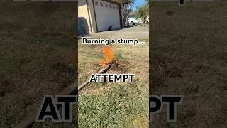 Thumbnail: Burning a stump… FAILURE