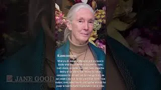 Thumbnail: Jane Goodall: Every Action Shapes the Future | Inspirational Quote | Timeless Voices
