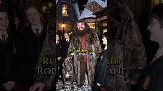 Thumbnail: A Winter Night in Hogsmeade ❄️