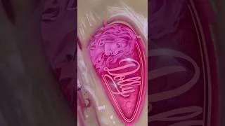 Thumbnail: Airbrushing Dolly Parton with a Paper Stencil