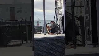 Thumbnail: JRAD 2025-05-23 Row Jimmy Ted Barks