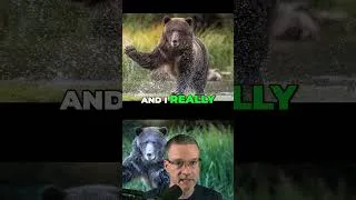 Thumbnail: How to shoot a grizzly bear without killing it.