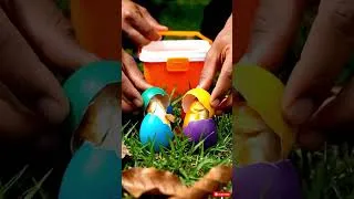 Thumbnail: Catching Colorful Aquarium Fish in Giant Eggs | Pink Catfish,Guppy,Turtles, Frog & Green Prawn