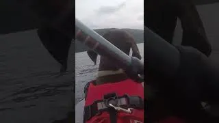 Thumbnail: Canoeing on coniston water