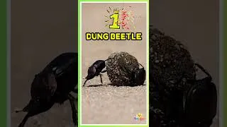 Thumbnail: 💪 The Strongest Animals on Earth! 😱 #kidslearning #animalsounds