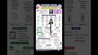 Thumbnail: Gustafson’s Method of Dental Age Estimation 🦷 | 6 Criteria Explained | Short #4