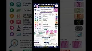 Thumbnail: Histological Method of Dental Age Estimation 🦷 | Dental Age Series | Short #3