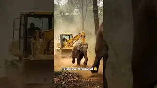 Thumbnail: Humans 💔 #shorts #viralvideo #humanity #government #hyderabad #court #bjp #titanogaming