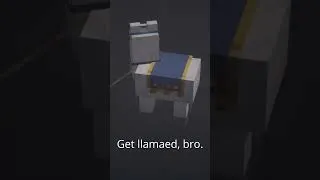 Thumbnail: Llama spinning moment.