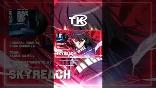 Thumbnail: AKAME GA KILL - Skyreach (COVER INSTRUMENTAL)