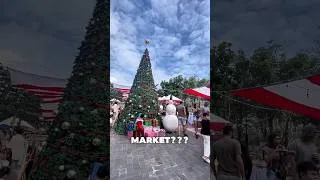 Thumbnail: Right now in Danang!!! #danang #xmas