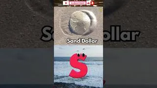 Thumbnail: ABC Sea Animals Song! 🌊 #Shorts
