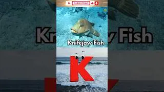 Thumbnail: Learn ABCs with Sea Creatures! 🦑