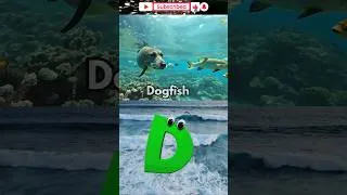 Thumbnail: ABC Animal Song: Under the Sea! 🦀