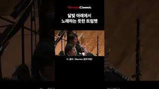 Thumbnail: 달빛 아래에서 노래하는 듯한 트럼펫