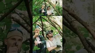 Thumbnail: Profi Skater im Wald 🌳 Robert und Tom haben eine Gemeinsamkeit mit deren Opas 🧡  1. EP #6Districts