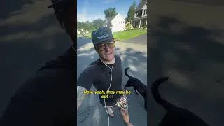 Thumbnail: Reactive doesn’t mean MEAN