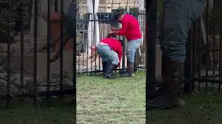 Thumbnail: Looking out my back door ￼- the rescue ￼
