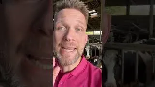 Thumbnail: 5S basics: Cleanliness, Organisation, Work Standards (COWS)