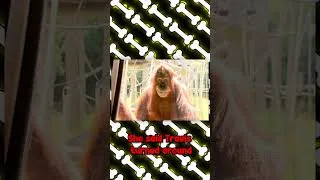 Thumbnail: Full Video👆