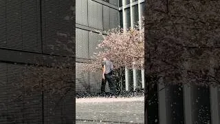 Thumbnail: cherry blossom 360 Flip #skateboarding