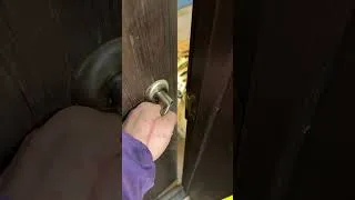 Thumbnail: A tiger was behind the door..