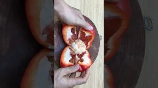 Thumbnail: How to properly chop bell peppers #shorts #diy #hacks #craft #lifehack