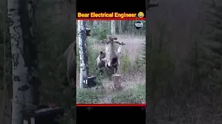Thumbnail: भालू बना Electrical Engineer 😂 #shorts #factsinhindi