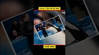 Thumbnail: Whale ने ट्रेनर को मार डाला? Viral Video का सच! Jessica Radcliffe #shorts