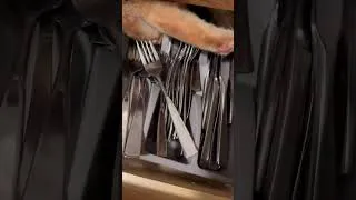 Thumbnail: Funny Moments Caught on Camera You laugh, you lose. 🤣 #funny #dontlaught #comedyvideos