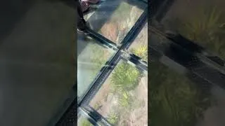 Thumbnail: Cabo Girão Skywalk, Madeira