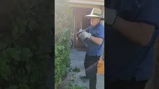 Thumbnail: Phil doing some hedging