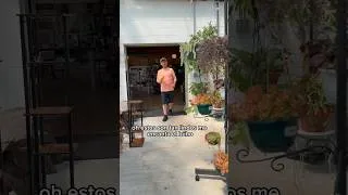 Thumbnail: De compras por viveros y tiendas de jardinería con mi mamá y Lalo.