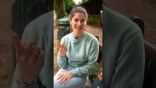 Thumbnail: Wanneer je op vakantie vertrekt … maar de juiste verzekering kiezen een hele puzzel blijkt. 🤯