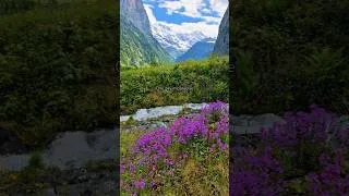 Thumbnail: One day in Paradise #switzerland