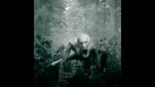 Thumbnail: Forest Chasing Scene IT "Welcome to Derry"