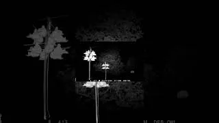 Thumbnail: Watch Over Your Purple Martins #birds #owl