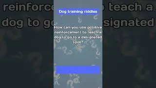 Thumbnail: How to Teach Dog to Go to a Specific Spot