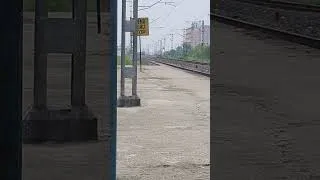 Thumbnail: Relaxing Train Views with Green Scenery | Trains Passing by the Tracks